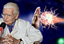 Cura dei tumori con Metodo Di Bella ▷ “Vi spiego come siamo riusciti a spostare la mediana di sopravvivenza”