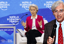 Follia Price cap: il piano della Commissione è vertiginoso ▷ Rinaldi: “Incompetenti o fanno un favore a qualcuno”