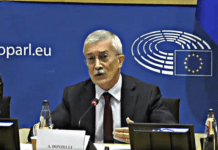 La lezione del Prof. Donzelli in Europarlamento ▷ “La sanità smetta di guadagnare dalla malattia”