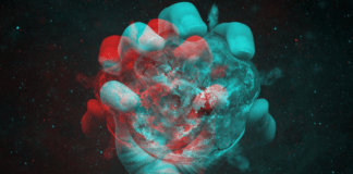 Di questi tempi tutto diventa transgenico: i ricchi avranno carne e formaggio, noi mangeremo sintetico