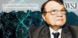 L'”ecatombe” Cina e i dubbi del Wall Street Journal ▷ “Pare che Montagnier non fosse poi così pazzo”