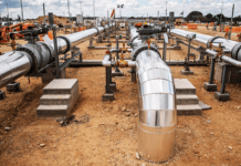 L’Italia annuncia il piano Mattei ▷ Tutto quello da sapere sul piano energetico di Meloni