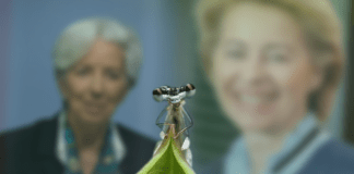 L’ultima trovata dell’UE: il massacro di classe si manifesta anche a tavola