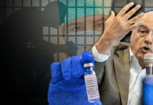 Capito Consulta? Lezione magistrale di Michetti sulla Costituzione ▷ La differenza con le dittature