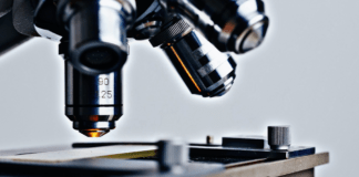 Contrordine, scienziati! Adesso ci ripensano pure sul caffè ▷ Meluzzi: “C’è una dicotomia evidente”