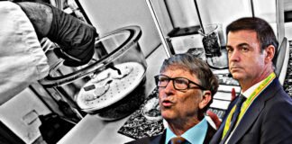 Carne sintetica: “C’è rischio cancerogeno” ▷ L’allarme del Pres. Coldiretti: “Business per Gates & co”