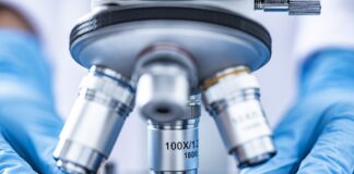 Dobbiamo difenderci, l’identità dell’Italia passa anche dal “No” alla carne sintetica