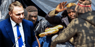 L’unica sostituzione è quella lavorativa e punta allo sfruttamento di tutti: migranti e italiani