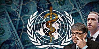 Da Gates a Meta: ecco quanto danno all’OMS ▷ La lista con tutti i finanziatori: “In Italia 4 regioni”