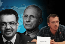 Prof. Fouché le canta all’OMS in Europarlamento ▷ “Prima del 2020 non avevano dubbi sulle mascherine”