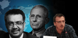 Prof. Fouché le canta all’OMS in Europarlamento ▷ “Prima del 2020 non avevano dubbi sulle mascherine”