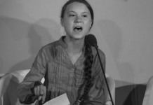 Esce allo scoperto l’ultima follia ambientalista: la trovata assurda a cui nessuno poteva pensare ambientalismo