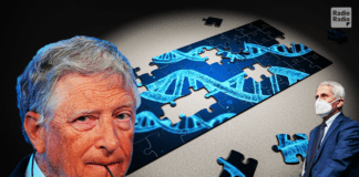 Gates e Fauci annunciano il nuovo virus ▷ Borgonovo: “Fa pensare che la pandemia sia stata indotta”