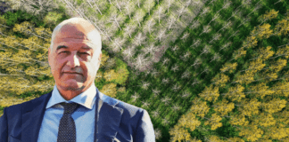 Roma è il comune agricolo più grande d’Europa ▷ “Bisogna preservare la cultura agricola”