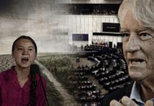 Approvata la legge UE sulla natura: Rinaldi lancia l’allarme ▷ “Dietro ci sono le multinazionali”