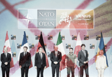 L’improbabile sondaggio che imbarazza i fanatici della guerra ▷ “Cercano pure di attutire la botta”