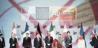 L’improbabile sondaggio che imbarazza i fanatici della guerra ▷ “Cercano pure di attutire la botta”