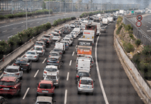 La lezione del prof Michetti sulla viabilità: “C’è bisogno di competenza”