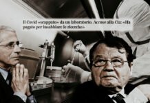 Dott. Barbaro senza filtri sulle accuse alla CIA ▷ “Montagnier lo aveva spiegato, Fauci l’ha ammesso”