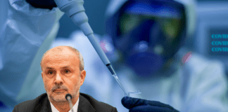 Covid, torna l’allarme sui giornali con la variante Pirola ▷ Duranti “Il businnes deve ricominciare”