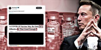 La stoccata di Musk da 100 milioni di clic ai vaccini ▷ “Un video subito spazzato via dal Nobel”