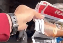 Amnesty International sotto accusa: bufera social sul presunto gesto contro Israele ▷ Blei: “Senza parole” amnesty