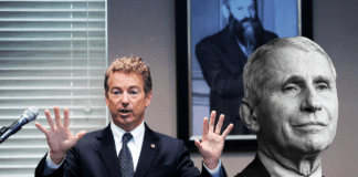 Meluzzi reagisce al Senatore USA che smaschera Fauci ▷ “Wu-han? ecco chi furono i veri complici”