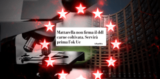 Mattarella non firma il ddl anti carne sintetica: c’è prima l’UE ▷ Borgonovo: “E Repubblica festeggia”