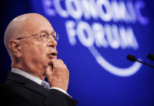 Agricoltori in rivolta, Italia in silenzio ▷ Contri: “Ho scritto alla Rai, tg delle 20 spaventoso”