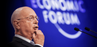 Agricoltori in rivolta, Italia in silenzio ▷ Contri: “Ho scritto alla Rai, tg delle 20 spaventoso”