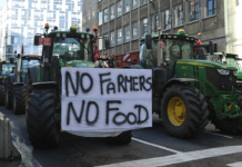 Bruxelles, agricoltori in protesta: questa volta non c’è recita capace di sedare la rivolta