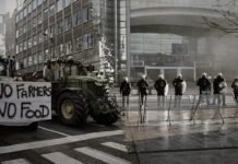 “Ignorare gli agricoltori un atteggiamento suicida” ▷ La stoccata di Donato a Europa e europeisti