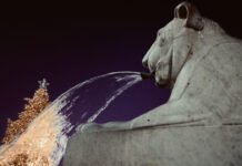 Scontro in diretta Donelli-Martani ▷ “Animalisti vigliacchi”, “I cacciatori non sono esseri umani”