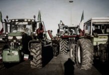 Arrivano fondi dall’UE per l’agricoltura? ▷ “Finiscono in mano a 4 o 5 prestanomi delle multinazionali”