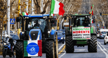 Cari agricoltori, ecco perché il governo e le associazioni di categoria non vi stanno proteggendo