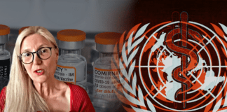 Imbarazzo OMS: “Fecero dietrofront sui tamponi solo dopo l’autorizzazione ai vaccini” ▷ Av. Holzeisen