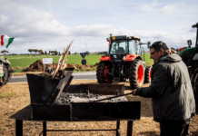 Aggiornamenti sui cortei degli agricoltori ▷ “Non credete ai giornali, ci vendono cose di mesi fa”