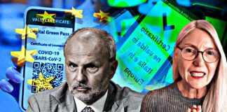 Avv. Holzeisen smonta Schillaci: ma quale fine Green Pass! ▷ “Guardate cosa hanno scritto nel DDL”