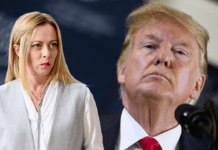 Il vero motivo per cui il governo Meloni crollerebbe in sei mesi se Trump vincesse le elezioni