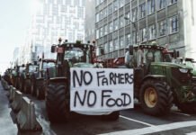 Annunciato il movimento degli agricoltori in UE ▷ “Sarà la grande sorpresa delle elezioni europee”