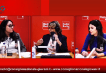 L’Europa dei Giovani ▷ CNG | Opportunità e indagini sul rapporto tra UE e giovani italiani