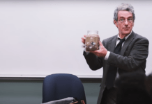 La lezione da brividi di Covey spiega il vero senso della vita ▷ Il commento di Contri e Frajese