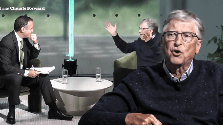 Ora Bill Gates se la prende con gli alberi ▷ “Piantarne di più? Siamo la scienza o siamo idioti?”