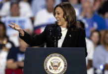 “Ma perché votare i propri carnefici?”: il parere di Contri e Frajese sullo scontro Kamala-Trump