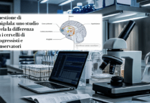 Idee alternative? Colpa del cervello ▷ “Con questo titolo superiamo definitivamente Minority Report”