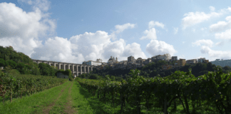 Parco dei Castelli Romani: Percorsi di Lettura, il programma di domenica 29 settembre