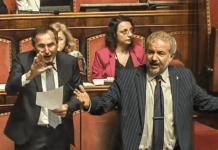 Borghi smentisce Boccia in Senato ▷ “Indagine sui magistrati? Forse si è informato su Repubblica…”