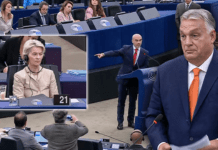 Jorge Buxadé tuona in Europarlamento ▷ “Von der Leyen insulta Orban e se ne va: vergognatevi tutti!”