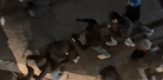 Il video degli scontri tra ultras nel centro di Roma ▷ Calci e pugni sotto le abitazioni