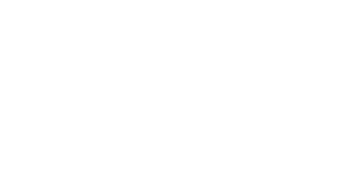 Life 2.0